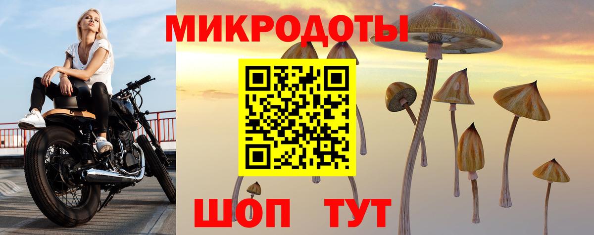 Галлюциногенные грибы прущие грибы  Вход с VPN  Старый Оскол  Галлюциногенные грибы прущие грибы 
